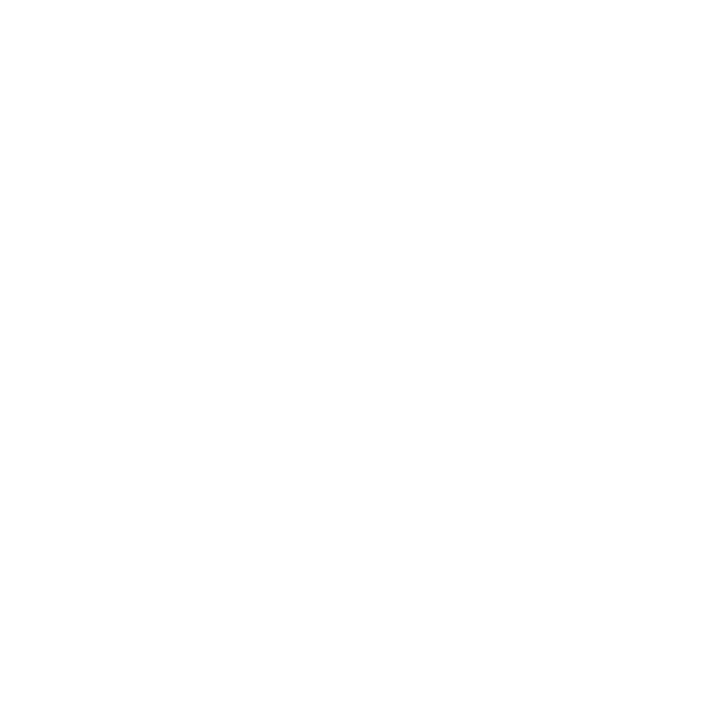 Letmfly Logo